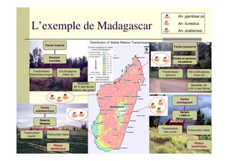 Atelier Paludisme 2007
L’exemple de Madagascar
An. gambiae ss
An. funestus
An. arabiensis
Faciès tropical
Savanes
humides
Transmission
Saisonnière longue
6 à 54 piqûres
infect./an
Morbidité:
80 % des fièvres
Saison des pluies
Faciès équatorial
Forêts et savanes
forestières
Transmission
pérenne
100 à 240 piqûres
infect./an
Morbidité: 30
à 50 % des fièvres
Faciès
montagnard
Reliefs
>1000 m
(Madagascar)
Transmission
très courte
Prémunition faible
Risque
épidémique
Faciès
subdésertique
Déserts
Steppes
Transmission
courte
Prémunition faible
Risque
épidémique
 