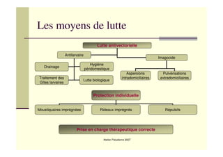 Atelier Paludisme 2007
Les moyens de lutte
Lutte antivectorielle
Antilarvaire
Drainage
Traitement des
Gîtes larvaires
Hygiène
péridomestique
Lutte biologique
Imagocide
Pulvérisations
extradomiciliaires
Aspersions
intradomiciliaires
Protection individuelle
Moustiquaires imprégnées Rideaux imprégnés Répulsifs
Prise en charge thérapeutique correcte
 
