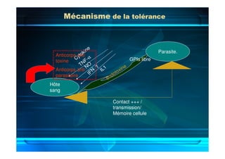 MécanismeMécanismeMécanismeMécanisme de la tolérancede la tolérancede la tolérancede la tolérance
Hôte
sang
Parasite.
Contact +++ /
transmission/
Mémoire cellule
endotoxine
GPIs libre
TNF-α
NO
IL1
IFN
γ
Cytokine
Anticorps anti
toxine
Anticorps anti
parasitaire
 