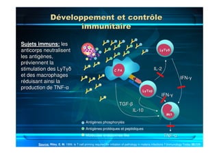 MMØØ
LyTLyTααββ
C PAC PA
LyTLyTγδγδ
YY
YY
YY
TNFTNF--αα
ILIL--22
IFNIFN--γγ
IFNIFN--γγ
TGFTGF--ββ
ILIL--1010
Antigènes phosphorylés
Antigènes protéiques et peptidiques
Molécules endotoxines-like
YYYY
YY
YY
YY
YY
YY
YY
YY
YY
YY
YY
YY YY YY
YY
YY
Source: Riley, E. M. 1999. Is T-cell priming required for initiation of pathology in malaria infections ? Immunology Today 20:228-
233.
Sujets immuns:Sujets immuns: lesles
anticorps neutralisentanticorps neutralisent
les antigles antigèènes,nes,
prprééviennent laviennent la
stimulation des LyTstimulation des LyTγδγδ
et des macrophageset des macrophages
rrééduisant ainsi laduisant ainsi la
production de TNFproduction de TNF--αα
Développement et contrôleDéveloppement et contrôle
immunitaireimmunitaire
 