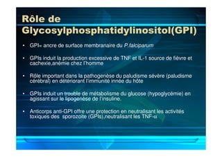 Rôle de
Glycosylphosphatidylinositol(GPI)
• GPI= ancre de surface membranaire du P.falciparum
• GPIs induit la production excessive de TNF et IL-1 source de fièvre et
cachexie,anémie chez l’homme
• Rôle important dans la pathogenèse du paludisme sévère (paludisme
cérébral) en détériorant l’immunité innée du hôte
• GPIs induit un trouble de métabolisme du glucose (hypoglycémie) en
agissant sur le lipogenèse de l’insuline.
• Anticorps anti-GPI offre une protection en neutralisant les activités
toxiques des sporozoite (GPIs),neutralisant les TNF-α
 