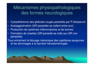 MMéécanismes physiopathologiquescanismes physiopathologiques
des formes neurologiquesdes formes neurologiques
• Cytoadhérence des globules rouges parasités par P.falciparum.
• Autoagglutination (GR parasités se collent entre eux)
• Production de cytokines inflammatoires et de toxines
• Formation de rosettes (GR parasité se colle aux GR non
parasités)
Tous entraînent le blocage mécanique des capillaires sanguines
et les dommages à la barrière hématoméningée
 