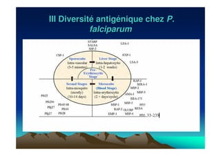 III DiversitIII Diversitéé antigantigéénique cheznique chez P.P.
falciparumfalciparum
 