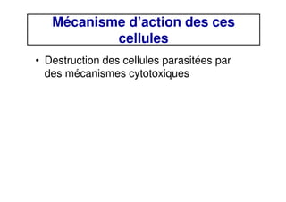 Mécanisme d’action des ces
cellules
• Destruction des cellules parasitées par
des mécanismes cytotoxiques
 
