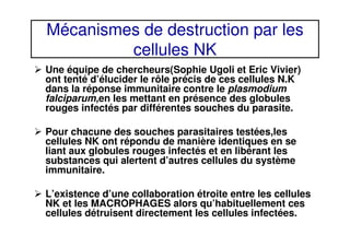 Mécanismes de destruction par les
cellules NK
Une équipe de chercheurs(Sophie Ugoli et Eric Vivier)
ont tenté d’élucider le rôle précis de ces cellules N.K
dans la réponse immunitaire contre le plasmodium
falciparum,en les mettant en présence des globules
rouges infectés par différentes souches du parasite.
Pour chacune des souches parasitaires testées,les
cellules NK ont répondu de manière identiques en se
liant aux globules rouges infectés et en libérant les
substances qui alertent d’autres cellules du système
immunitaire.
L’existence d’une collaboration étroite entre les cellules
NK et les MACROPHAGES alors qu’habituellement ces
cellules détruisent directement les cellules infectées.
 
