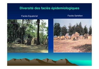 DiversitDiversitéé des facides facièèss éépidemiologiquespidemiologiques
Faciès Equatorial Faciès Sahélien
 