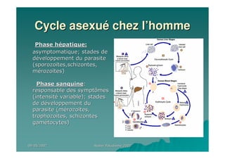 09/05/200709/05/2007 Atelier Paludisme 2007Atelier Paludisme 2007
Cycle asexuCycle asexuéé chez lchez l’’hommehomme
Phase hPhase héépatique:patique:
asymptomatique; stades deasymptomatique; stades de
ddééveloppement du parasiteveloppement du parasite
((sporozosporozoïïtestes,schizontes,,schizontes,
mméérozorozoïïtes)tes)
Phase sanguinePhase sanguine::
responsable des symptômesresponsable des symptômes
(intensit(intensitéé variable); stadesvariable); stades
de dde dééveloppement duveloppement du
parasite (mparasite (méérozorozoïïtes,tes,
trophozotrophozoïïtes, schizontestes, schizontes
gamgaméétocytes)tocytes)
 