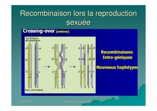 09/05/200709/05/2007 Atelier Paludisme 2007Atelier Paludisme 2007
Recombinaison lors la reproductionRecombinaison lors la reproduction
sexusexuééee
 