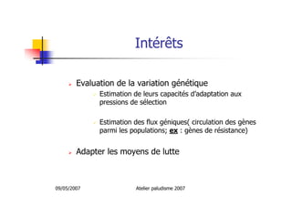 09/05/2007 Atelier paludisme 2007
Intérêts
Evaluation de la variation génétique
Estimation de leurs capacités d’adaptation aux
pressions de sélection
Estimation des flux géniques( circulation des gènes
parmi les populations; ex : gènes de résistance)
Adapter les moyens de lutte
 
