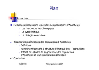 09/05/2007 Atelier paludisme 2007
Plan
Introduction
Méthodes utilisées dans les études des populations d’Anophèles
Les marqueurs morphologiques
La cytogénétique
La biologie moléculaire
Structuration génétiques des populations d’ Anophèles
Définition
Facteurs influençant la structure génétique des populations
Intérêt des études de la génétique des populations
d’Anophèles et leur structuration génétique
Conclusion
 