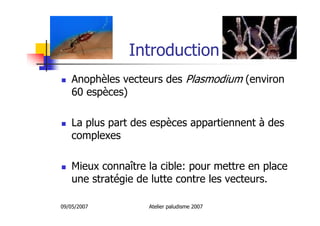 09/05/2007 Atelier paludisme 2007
Introduction
Anophèles vecteurs des Plasmodium (environ
60 espèces)
La plus part des espèces appartiennent à des
complexes
Mieux connaître la cible: pour mettre en place
une stratégie de lutte contre les vecteurs.
 