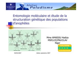 09/05/2007 Atelier paludisme 2007
Entomologie moléculaire et étude de la
structuration génétique des populations
d’anophèles
Mme AMADOU Hadiza
MSP/LCE/PNLP/LAV
Niger
EVALUATION
par les FACILITATEURS
 