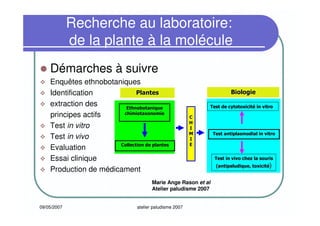 09/05/2007 atelier paludisme 2007
Recherche au laboratoire:
de la plante à la molécule
Démarches à suivre
Enquêtes ethnobotaniques
Identification
extraction des
principes actifs
Test in vitro
Test in vivo
Evaluation
Essai clinique
Production de médicament
CC
HH
II
MM
II
EE
EthnobotaniqueEthnobotanique
chimiotaxonomiechimiotaxonomie
Collection de plantesCollection de plantes
Test antiplasmodial in vitroTest antiplasmodial in vitro
PlantesPlantes BiologieBiologie
Test de cytotoxicitTest de cytotoxicitéé in vitroin vitro
Test in vivo chez la sourisTest in vivo chez la souris
(antipaludique, toxicit(antipaludique, toxicitéé))
Marie Ange Rason et al
Atelier paludisme 2007
 