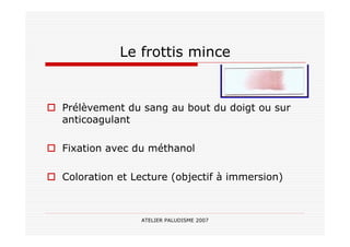 ATELIER PALUDISME 2007
Le frottis mince
Prélèvement du sang au bout du doigt ou sur
anticoagulant
Fixation avec du méthanol
Coloration et Lecture (objectif à immersion)
 