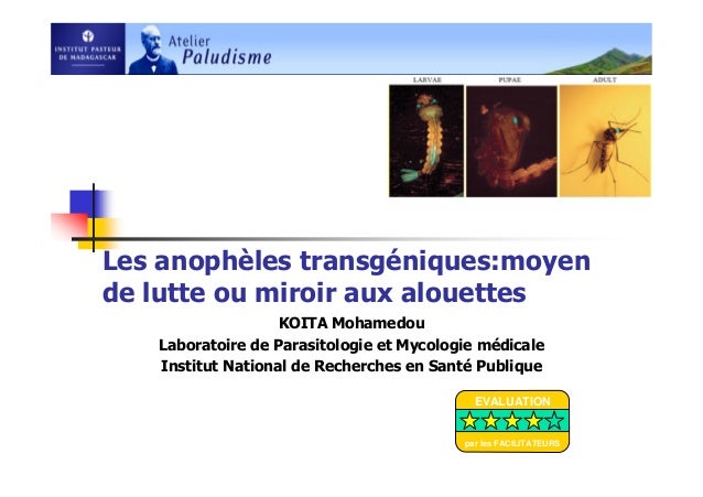 Comme remettent lexcrément sur les oeufs les helminthes