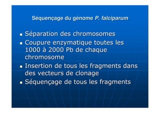 Séquençage du génomeSéquençage du génome P. falciparumP. falciparum
Séparation des chromosomesSéparation des chromosomes
Coupure enzymatique toutes lesCoupure enzymatique toutes les
1000 à 2000 Pb de chaque1000 à 2000 Pb de chaque
chromosomechromosome
Insertion de tous les fragments dansInsertion de tous les fragments dans
des vecteurs de clonagedes vecteurs de clonage
Séquençage de tous les fragmentsSéquençage de tous les fragments
 