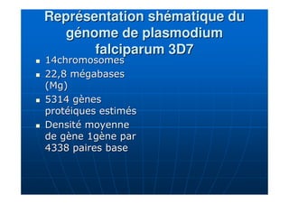 ReprésentationReprésentation shématiqueshématique dudu
génome de plasmodiumgénome de plasmodium
falciparum 3D7falciparum 3...