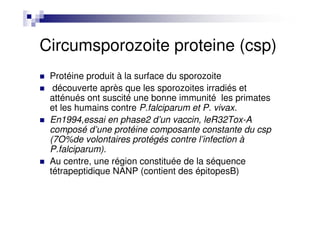 Circumsporozoite proteine (csp)
Protéine produit à la surface du sporozoite
découverte après que les sporozoites irradiés et
atténués ont suscité une bonne immunité les primates
et les humains contre P.falciparum et P. vivax.
En1994,essai en phase2 d’un vaccin, leR32Tox-A
composé d’une protéine composante constante du csp
(7O%de volontaires protégés contre l’infection à
P.falciparum).
Au centre, une région constituée de la séquence
tétrapeptidique NANP (contient des épitopesB)
 