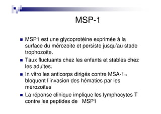 MSP-1
MSP1 est une glycoprotéine exprimée à la
surface du mérozoite et persiste jusqu’au stade
trophozoite.
Taux fluctuants chez les enfants et stables chez
les adultes.
In vitro les anticorps dirigés contre MSA-119
bloquent l’invasion des hématies par les
mérozoites
La réponse clinique implique les lymphocytes T
contre les peptides de MSP1
 