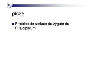 pfs25
Protéine de surface du zygote du
P.falciparum
 