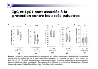 IgG et IgG1 sont associés à la
protection contre les accès palustres
 