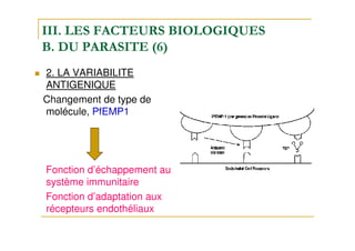 III. LES FACTEURS BIOLOGIQUES
B. DU PARASITE (6)
2. LA VARIABILITE
ANTIGENIQUE
Changement de type de
molécule, PfEMP1
Fonction d’échappement au
système immunitaire
Fonction d’adaptation aux
récepteurs endothéliaux
 