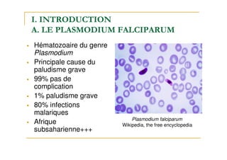 I. INTRODUCTION
A. LE PLASMODIUM FALCIPARUM
Hématozoaire du genre
Plasmodium
Principale cause du
paludisme grave
99% pas de
complication
1% paludisme grave
80% infections
malariques
Afrique
subsaharienne+++
Plasmodium falciparum
Wikipedia, the free encyclopedia
 