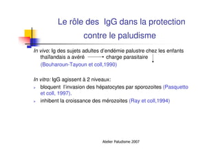 Atelier Paludisme 2007
Le rôle des IgG dans la protection
contre le paludisme
In vivo: Ig des sujets adultes d’endémie palustre chez les enfants
thaïlandais a avéré charge parasitaire
(Bouharoun-Tayoun et coll,1990)
In vitro: IgG agissent à 2 niveaux:
bloquent l’invasion des hépatocytes par sporozoites (Pasquetto
et coll, 1997).
inhibent la croissance des mérozoites (Ray et coll,1994)
 