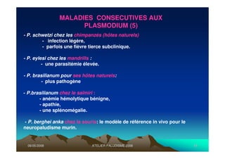 06/05/200806/05/2008 ATELIER PALUDISME 2008ATELIER PALUDISME 2008 1010
- P. schwetzi chez les chimpanzés (hôtes naturels)
- infection légère,
- parfois une fièvre tierce subclinique.
- P. eylesi chez les mandrills :
- une parasitémie élevée.
- P. brasilianum pour ses hôtes naturels:
- plus pathogène.
- P.brasilianum chez le saïmiri :
- anémie hémolytique bénigne,
- apathie,
- une splénomégalie.
- P. berghei anka chez la souris: le modèle de référence in vivo pour le
neuropaludisme murin.
MALADIES CONSECUTIVES AUX
PLASMODIUM (5)
 