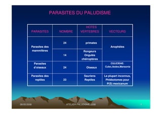 06/05/200806/05/2008 ATELIER PALUDISME 2008ATELIER PALUDISME 2008 44
La plupart inconnus,
Phlébotomes pour
P(S) mexicanum
Sauriens
Reptiles23
Parasites des
reptiles
CULICIDAE:
Culex,Aedes,MansoniaOiseaux24
Parasites
d’oiseaux
Rongeurs
Ongulés
chéiroptères
14
Anophèles
primates24
Parasites des
mammifères
VECTEURS
HOTES
VERTEBRESNOMBREPARASITES
PARASITES DU PALUDISME
 