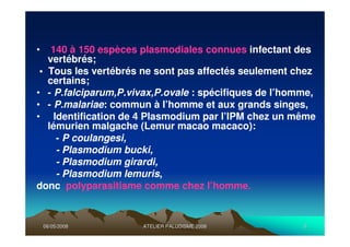 06/05/200806/05/2008 ATELIER PALUDISME 2008ATELIER PALUDISME 2008 55
• 140 à 150 espèces plasmodiales connues infectant des
vertébrés;
• Tous les vertébrés ne sont pas affectés seulement chez
certains;
• - P.falciparum,P.vivax,P.ovale : spécifiques de l’homme,
• - P.malariae: commun à l’homme et aux grands singes,
• Identification de 4 Plasmodium par l’IPM chez un même
lémurien malgache (Lemur macao macaco):
- P coulangesi,
- Plasmodium bucki,
- Plasmodium girardi,
- Plasmodium lemuris,
donc polyparasitisme comme chez l’homme.
 