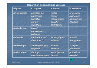 06/05/200806/05/2008 Atelier paludisme 2008Atelier paludisme 2008 -- IPMIPM 77
gobaldonigobaldoni
oswaldioswaldi
vestitipennisvestitipennis
hermsihermsi
darlingidarlingi
quadrimaculatusquadrimaculatus
AmAmééricainesricaines
clavigerclaviger
plumbeusplumbeus
sicaultisicaulti
messaemessae
anthropophagusanthropophagus
sergentisergenti
PalPalééarctiquearctique
litoralislitoralis
mangyanusmangyanus
leucosphyrusleucosphyrus
willmoriwillmori
minimusminimus A et CA et C
dirusdirus A et DA et D
OrientaleOrientale
farautifarauti
punctulatuspunctulatus
koliensiskoliensis
AustralienneAustralienne
brunnipesbrunnipes
rivulorumrivulorum
hargreavesihargreavesi
coustanicoustani
melasmelas
merusmerus
mascarensismascarensis
paludispaludis
pharoensispharoensis
gambiaegambiae s.s.s.s.
arabiensisarabiensis
funestusfunestus
nilinili s.l.s.l.
mouchetimoucheti
AfrotropicaleAfrotropicale
V.V. secdairesecdaireV. localeV. localeV.V. pcpauxpcpauxRRéégiongion
Répartition géographique vecteurs
 