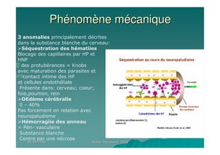 06/05/200806/05/2008 Atelier Paludisme 2008Atelier Paludisme 2008
PhPhéénomnomèène mne méécaniquecanique
3 anomalies principalement décrites
dans la substance blanche du cerveau:
Séquestration des hématiies
Blocage des capillaires par HP et
HNP
des protubérances = Knobs
avec maturation des parasites et
contact intime des HP
et cellules endothéliale
Présente dans: cerveau; coeur;
foie,poumon, rein
OEdème cérébralle
0 – 40%
Pas forcement en relation avec
neuropaludisme
Hémorragiie des anneau
= Péri- vasculaire
Substance blanche
Centre par une nécrose
 