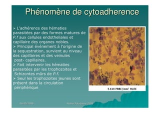 06/05/200806/05/2008 Atelier Paludisme 2008Atelier Paludisme 2008
PhPhéénomnomèène de cytoadherencene de cytoadherence
L’adhérence des hématies
parasitées par des formes matures de
P.f aux cellules endotheliales et
capillaire des organes nobles.
Principal événement à l’origine de
la sequestration, survient au niveau
des capillaires et des veinules
post- capillaires.
Fait intervenir les hématies
parasitées par les trophozoites et
Schizontes mûrs de P.f.
Seul les trophozoites jeunes sont
présent dans la circulation
périphérique
 