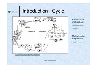Atelier Paludisme 20083
Introduction - Cycle
Cycle biologique de Plasmodium
Facteurs de
maturation:
-Température
-Temps
Multiplication
du parasite
-selon l’espèce
 