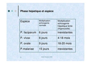 Atelier Paludisme 20084
Phase hépatique et espèce
inexistantes15 joursP.malariae
18-20 mois9 joursP. ovale
4-18 mois8 joursP. vivax
inexistantes6 joursP. faciparum
Multiplication
schizogonie
hépatique lente
(Hypnozoite)
Multiplication
schizogonie
normale
Espèce
 