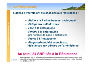 GénotypagedePlasmodiumsp
Le 28/03/0813
La Résistance
6 gènes d’intérêts ont été associés aux résistances :
– Pfdhfr à la Pyriméthamine, cycloguanil
– Pfdhps aux sulfadoxines
– Pfcrt à la chloroquine
– Pfmdr1 à la chloroquine
(par nombre de copie : méfloquine)
– Pfcytb à l’Atovaquone
– Pfatpase6 candidat associé aux
résistances aux dérivés de l’artémisinine
Au total, 34 SNP liés à la Résistance
Andreas Crameri et al. A rapid microarray-based method for monitoring of all currently known single
nucleotide polymorphisms associated with parasite resistance to antimalaria drugs. J. Clin. Microbiol.
10.1128/JCM.01178-07
 