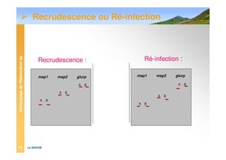 GénotypagedePlasmodiumsp
Le 28/03/0819
Recrudescence :
msp1 msp2 glurp
A B
A B
A B
Ré-infection :
msp1 msp2 glurp
A B
A B
A B
Recrudescence ou Ré-infection
 