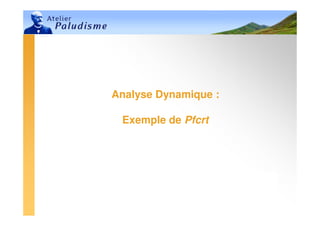 Ministère de la Santé, du Planning
Familial et de la Protection Sociale
Madagascar
Ministère de la Santé, du Planning
Familial et de la Protection Sociale
Madagascar
Analyse Dynamique :
Exemple de Pfcrt
 