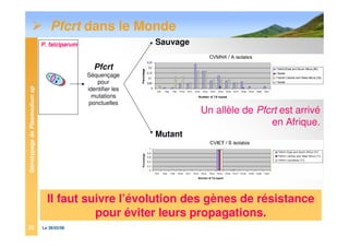 GénotypagedePlasmodiumsp
Le 28/03/0822
Pfcrt dans le Monde
P. falciparum
Pfcrt
Séquençage
pour
identifier les
mutations
ponctuelles
Sauvage
Mutant
Un allèle de Pfcrt est arrivé
en Afrique.
Il faut suivre l’évolution des gènes de résistance
pour éviter leurs propagations.
 