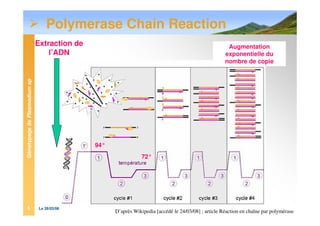 GénotypagedePlasmodiumsp
Le 28/03/085
Polymerase Chain Reaction
D’après Wikipedia [accédé le 24/03/08] ; article Réaction en chaîne par polymérase
Augmentation
exponentielle du
nombre de copie
94°
72°
Extraction de
l’ADN
 