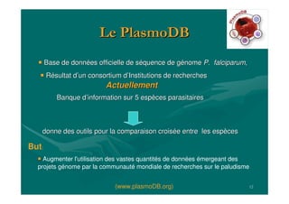12
LeLe PlasmoDBPlasmoDB
Augmenter l'utilisation des vastes quantités de données émergeant des
projets génome par la communauté mondiale de recherches sur le paludisme
But:
(www.plasmoDB.org)
Base de donnBase de donnéées officielle de ses officielle de sééquence de gquence de géénomenome P.P. falciparumfalciparum,,
RRéésultat dsultat d’’un consortium dun consortium d’’Institutions de recherchesInstitutions de recherches
ActuellementActuellement
Banque dBanque d’’information sur 5 espinformation sur 5 espèèces parasitairesces parasitaires
donne des outils pour la comparaison croisdonne des outils pour la comparaison croiséée entre les espe entre les espèècesces
 