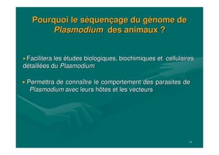 14
Pourquoi le sPourquoi le sééquenquenççage du gage du géénome denome de
PlasmodiumPlasmodium des animaux ?des animaux ?
Permettra de connaPermettra de connaîître le comportement des parasites detre le comportement des parasites de
PlasmodiumPlasmodium avec leurs hôtes et les vecteursavec leurs hôtes et les vecteurs
Facilitera lesFacilitera les éétudes biologiques, biochimiques et cellulairestudes biologiques, biochimiques et cellulaires
ddéétailltailléées dues du PlasmodiumPlasmodium
 