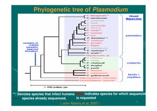 6
Red: indicates species for which sequencing
is requested
( John Adams et al, 2007 )
Blod : species already sequenced,
Phylogenetic tree of Plasmodium
**: Denotes species that infect humans
 