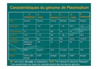 9
SangerSangerTIGRTIGRSangerSangerSangerSangerTIGRTIGRTIGR, USA,TIGR, USA,
SangerSanger
InstitutInstitut
PubPubPubPubEnEn prprééppPubPubInIn prepprepPubPubSituationSituation
4X4X5X5X8X8X2x2x10X10XSSééquencequence
complcomplèètete
Final dataFinal data
14.970*14.970*5,8785,878NKNKNKNKNKNK5.4035.403## GGèènesnes
24,324,322,822,8~~ 3535NKNK~~ 454519,419,4(G+C) %(G+C) %
14141414nknkNKNK14141414## ChromosomeChromosome
16,916,923?123?1~~ 2525NKNK~~ 272723,323,3Taille( Mo)Taille( Mo)
RodentRodentRodentRodentMonkeyMonkeyChimpChimpHumanHumanHumanHumanHôteHôte
NK: non connu; En prép: en préparation; TIGR: The Institute for Genomic Research;
* Une surestimation en raison du caractère partiel des données du génome
Caractéristiques du génome de Plasmodium
P.P.
falciparumfalciparum
P.P.
vivaxvivax
P.P.
relictumrelictum
P.P.
knowlesiknowlesi
P.P.
yoeliiyoelii
P.P.
ChabaudiChabaudi
 