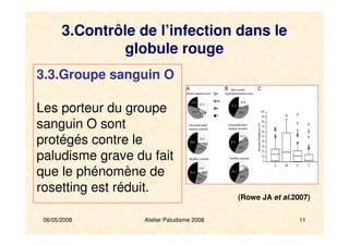 06/05/2008 Atelier Paludisme 2008 11
3.3.Groupe sanguin O
Les porteur du groupe
sanguin O sont
protégés contre le
paludisme grave du fait
que le phénomène de
rosetting est réduit.
(Rowe JA et al.2007)
3.Contrôle de l’infection dans le
globule rouge
 