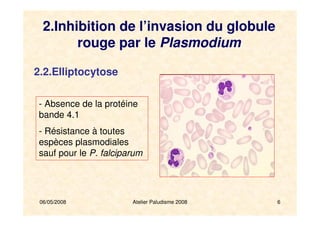06/05/2008 Atelier Paludisme 2008 6
2.2.Elliptocytose
- Absence de la protéine
bande 4.1
- Résistance à toutes
espèces plasmodiales
sauf pour le P. falciparum
2.Inhibition de l’invasion du globule
rouge par le Plasmodium
 