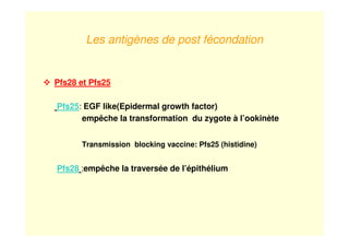 Les antigènes de post fécondation
Pfs28 et Pfs25
Pfs25: EGF like(Epidermal growth factor)
empêche la transformation du zygote à l’ookinète
Transmission blocking vaccine: Pfs25 (histidine)
Pfs28 :empêche la traversée de l’épithélium
 