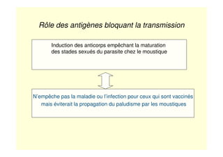 Rôle des antigènes bloquant la transmission
Induction des anticorps empêchant la maturation
des stades sexués du parasite chez le moustique
N’empêche pas la maladie ou l’infection pour ceux qui sont vaccinés
mais éviterait la propagation du paludisme par les moustiques
 