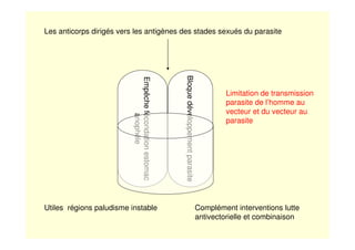 Les anticorps dirigés vers les antigènes des stades sexués du parasite
Bloquedéveloppementparasite
Empêchefécondationestomac
anophèle
Limitation de transmission
parasite de l’homme au
vecteur et du vecteur au
parasite
Utiles régions paludisme instable Complément interventions lutte
antivectorielle et combinaison
 